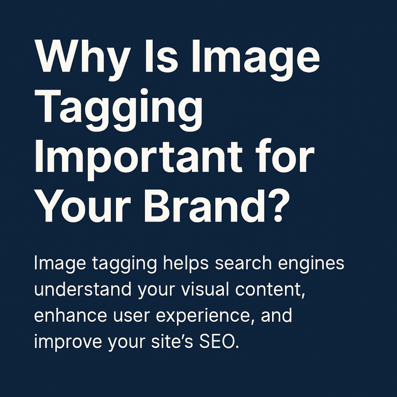 Image Tagging: What It Is and How It Helps Your Brand - Brandy