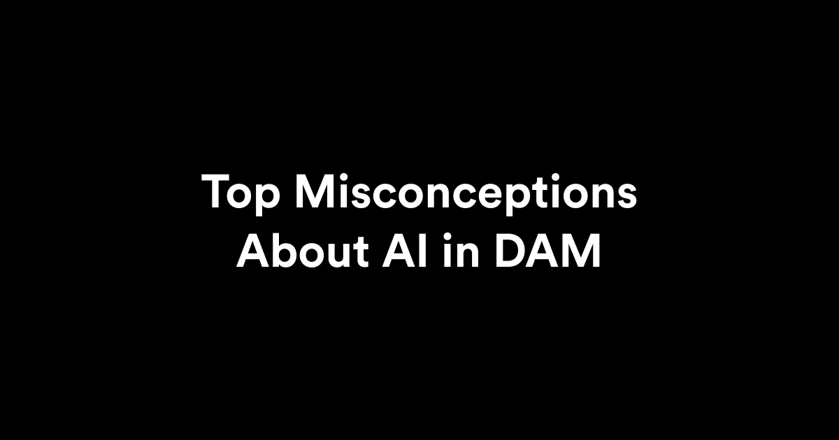 Misconceptions about AI in DAM